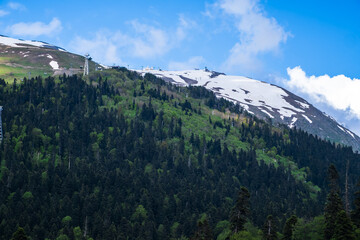 Fototapeta premium Snow-covered mountain peak rises above a vibrant green forest under a clear blue sky, capturing the beauty of nature in spring