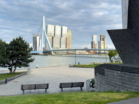 Rotterdam skyline behind Erasmus cable bridge over river in warm dramatic evening light, Netherlands