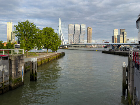 Rotterdam skyline behind Erasmus cable bridge over river in warm dramatic evening light, Netherlands