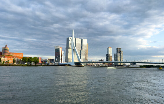 Rotterdam skyline behind Erasmus cable bridge over river in warm dramatic evening light, Netherlands
