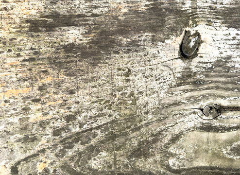 Weathered painted wooden surface texture with knots abstract close up