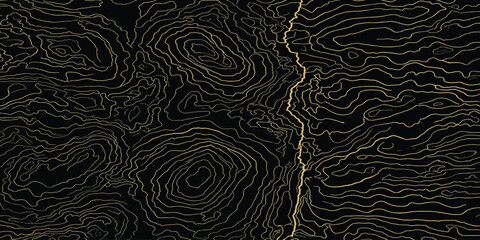 Abstract topographic map contour lines pattern with vertical divider topographic abstract cartography geography elevation navigation illustration background minimalist visualization © MOHAMAD