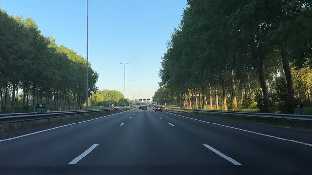 Amsterdam Netherlands highway, Cars driving on a tree-lined highway under an overpass