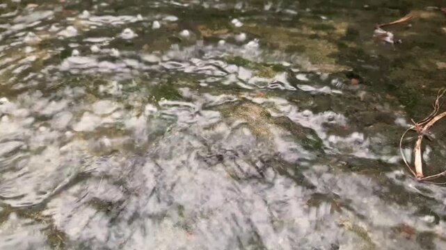 Closeup of a small stream of water flowing over mossy stones and rocks in a natural environment, creating a gentle ripple effect and white foam