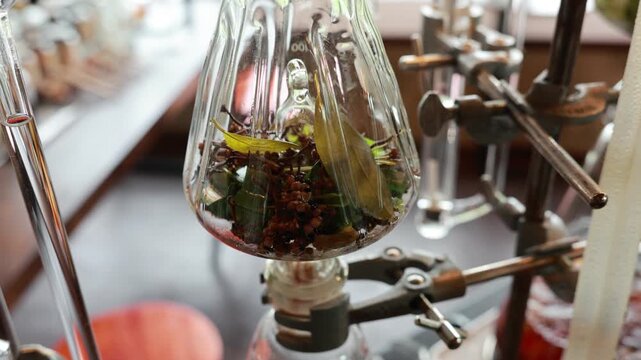 Glass flask with botanical spice and herb laboratory distillation setup for gin alcohol extraction, showcasing aromatic ingredients, scientific equipment, flavor infusion experiment, and creative