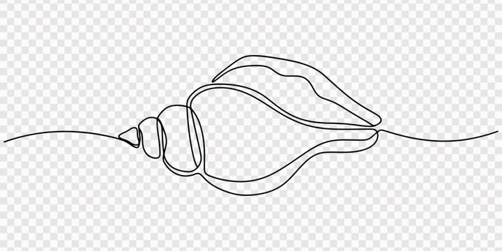 Minimalist Line Art Seashell on Sand - Continuous One Line Drawing, Continuous one line drawing of conch snail shell. Marine animal concept continuous line art. Single line art, One line art.