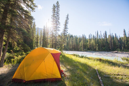Yellow camping tent in a sunny forest clearing by a river