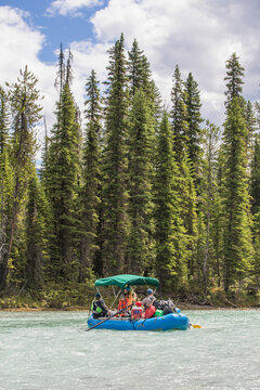 Group of people rafting on a wilderness river