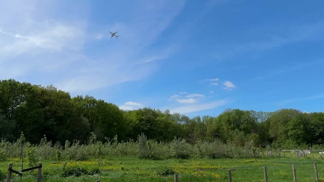 Aircraft flying over Amsterdam Forest park near Schiphol Airport, Netherlands Aircraft flying over Amsterdam Forest