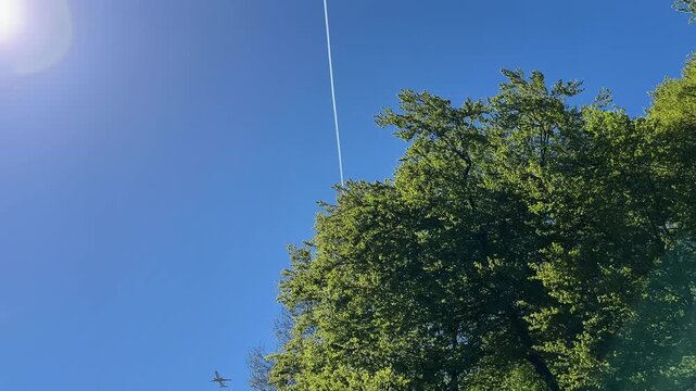 Aircraft flying over Amsterdam Forest park near Schiphol Airport, Netherlands Aircraft flying over Amsterdam Forest