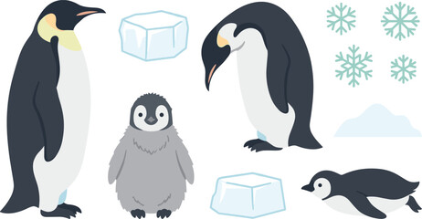 Cute Emperor Penguin Family Vector Illustration Set with Adult Penguins Chick Ice Cubes and Snowflakes in Arctic Winter Design Style © MinnatunAkter