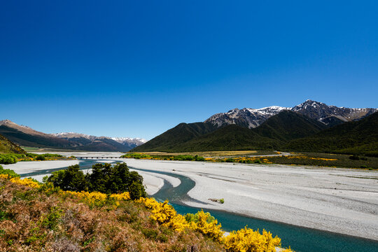 View of a braided river with mountains and yellow flowers