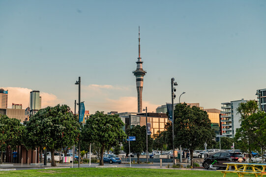 People gather in the park while the Sky Tower rises above buildings in the background