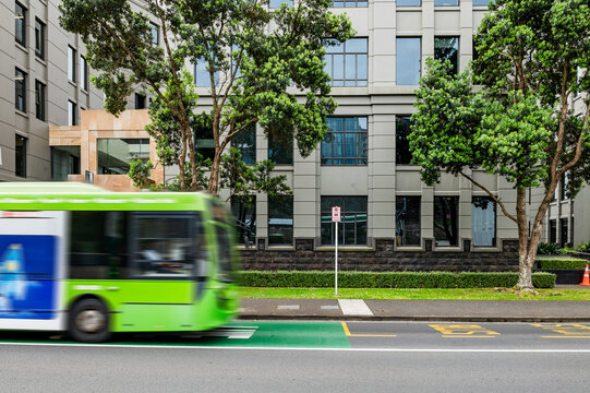 A green bus moves along a bus lane next to contemporary buildings and leafy trees