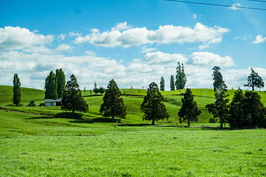 Green hills stretch across the landscape with trees and a small farm building