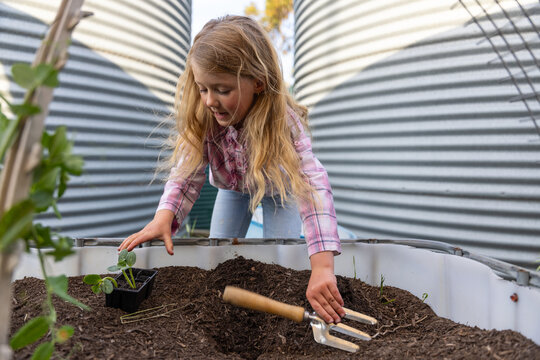 Child planting seedlings with hand rake in raised bed