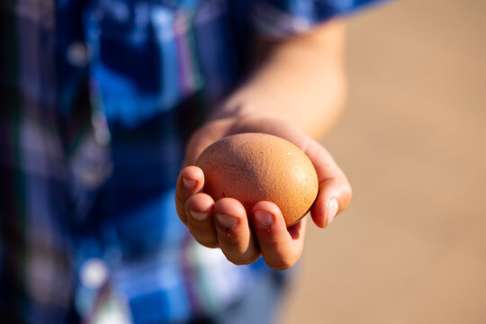 Child in plaid shirt holding a brown egg