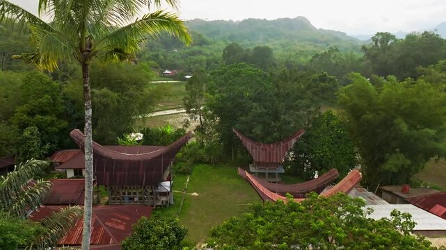 Aerial Toraja Tongkonan in the countryside