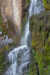Obraz premium Refreshing stream flowing through a moss-covered landscape.
