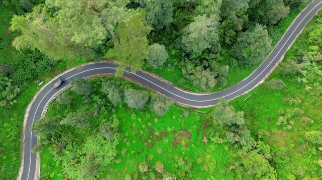 Drone view of a scenic road winding through a forest landscape filled with rubber trees, tall grass, and lush tropical vegetation.