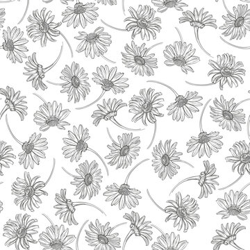 Seamless vector pattern with chamomiles, black outlines on white. Hand-drawn floral background. Abstract nature background.  Perfect for design templates, wallpaper, wrapping, fabric, print and textil