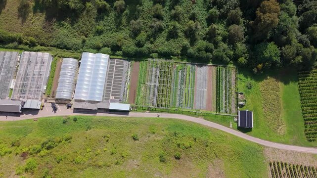 Vegetable garden with fields and greenhouse, organic horticulture in Germany, aerial view, growing lettuce, cabbage and tomatoes