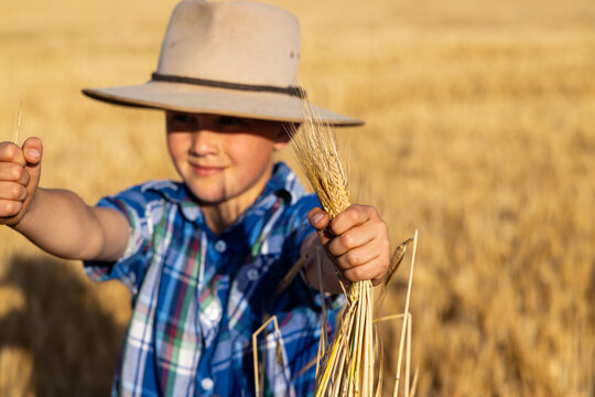 Young boy in golden wheat field, wide‑brimmed hat, blue plaid shirt, holding bundle of wheat stalks