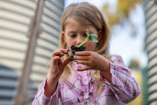 Female child holding seedling with roots outdoors