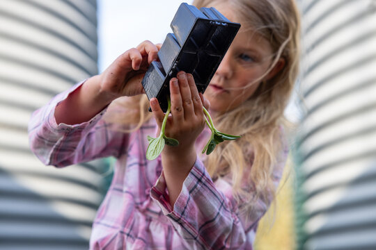 Child holding seedling tray, trying to detach seedling from the tray
