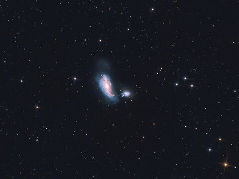 Cocoon Galaxy (NGC-4490)