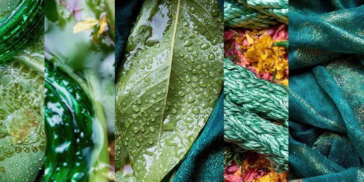 Emerald green silk fabric and wet monsoon leaves with water droplets and glass bangles evoke Hariyali Teej festival for cultural layouts