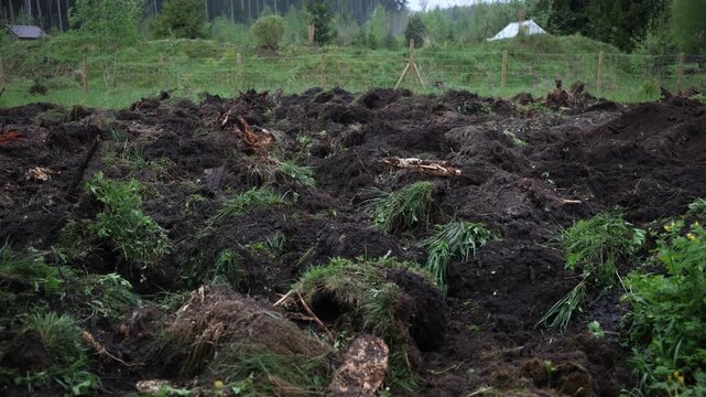 Rough field of turned turf and exposed soil fills the frame. Wire fence divides plot from conifers and a white roof shelter. Overcast light and shallow depth of field.