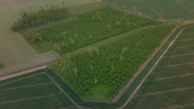 Aerial view shows rectangular woodlots, grassy firebreaks, and fields with circular irrigation marks and tramlines. A small red vehicle sits by a road as the camera pans.
