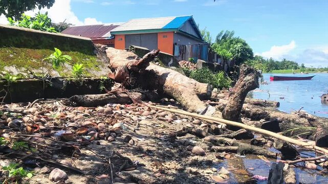 Large fallen tree trunk on a rocky beach near coastal houses and a small boat