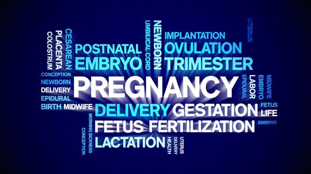 Pregnancy animated word cloud-animation tag kinetic typography seamless loop.