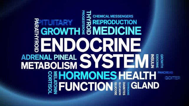 Endocrine System animated word cloud-animation tag kinetic typography seamless loop.