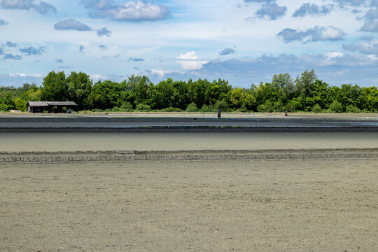 A worker tends to a salt field in Samut Songkhram, Thailand. The vast, dry salt pans are ready for the next harvest.
