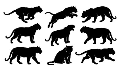 Big Cat Predator Black Silhouette Vector Icon Set Featuring Tiger Jaguar and Panther Poses Like Running Jumping Stalking and Sitting Isolated on White Background © Hosneara