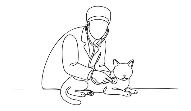 Veterinary care and pet medicine concept with male vet examining a domestic cat using a stethoscope. One line drawing vector illustration