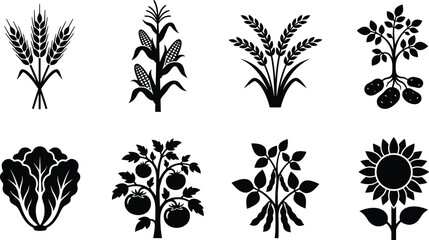 Fototapeta premium Agricultural Crops and Farm Produce Silhouette Icons Set for Organic Food and Cultivation Designs