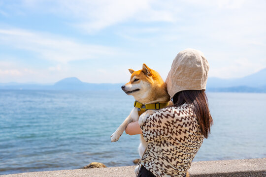 海を眺める柴犬と飼い主