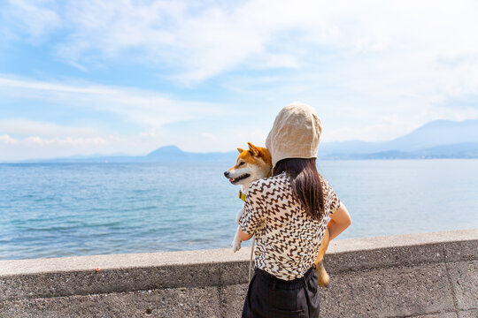 海を眺める柴犬と飼い主