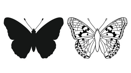 Butterfly Silhouette And Line Art Illustration On White Background © FARISTA