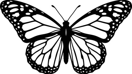 Butterfly Silhouette On White Background Detailed Wing Pattern © FARISTA