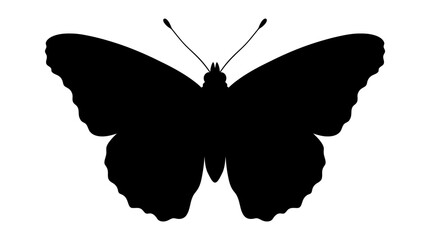 Butterfly Silhouette Against A White Background Minimalist Insect Shape © FARISTA