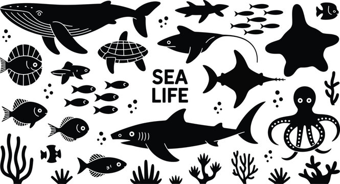 Sea life collection featuring black and white silhouettes of fish, whales, and coral elements