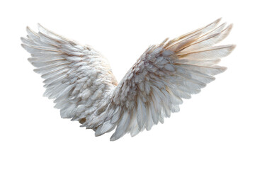 Fototapeta premium Ethereal angel wings in flight isolated on transparent background. Pair of elegant white dove wings spread wide isolated on white background.