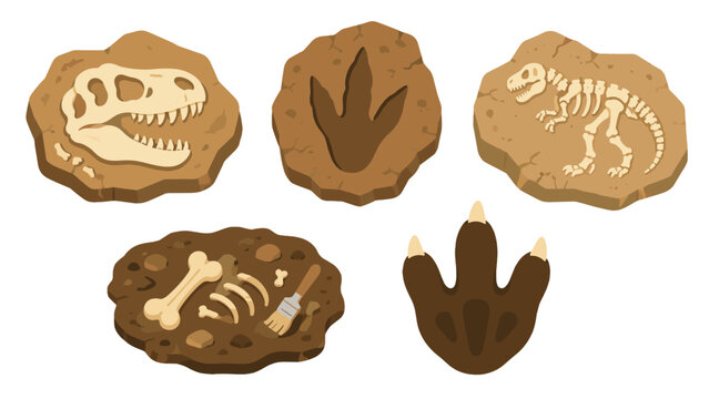 Dinosaur fossils and footprints cartoon vector set