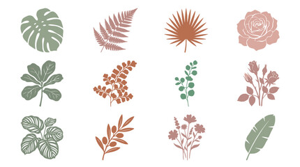 Fototapeta premium Botanical illustrations of various leaves and flowers in pastel colors 