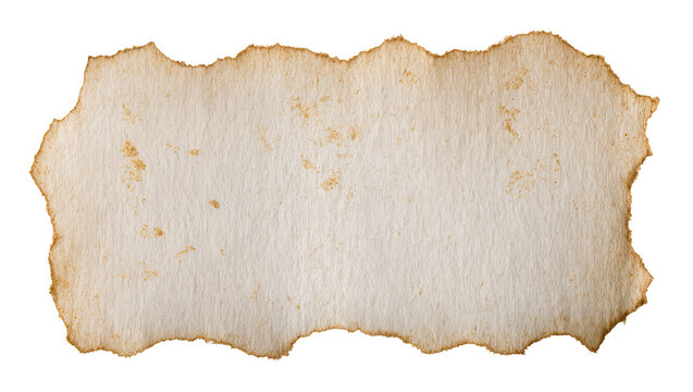 Torn aged parchment paper with burnt edges, isolated on transparent background